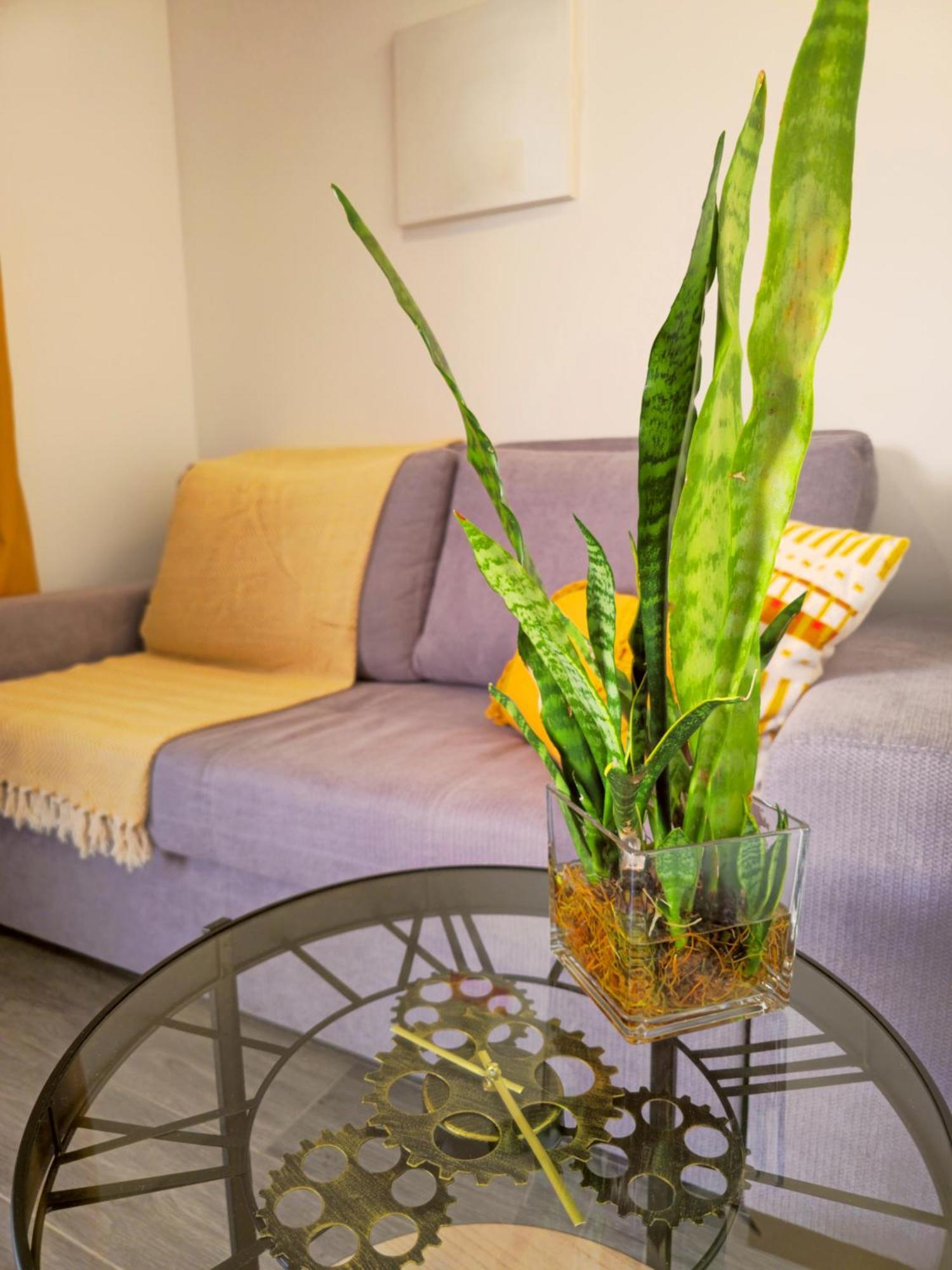 Brand New Private Modern Apartment With Patio And Sea View Calheta  Esterno foto